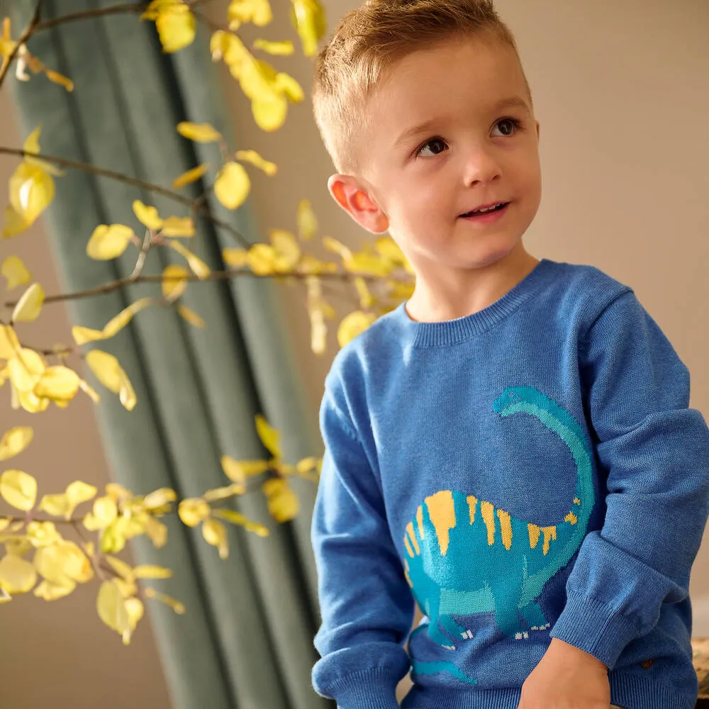 Boys Blue Bronto Cotton Sweater