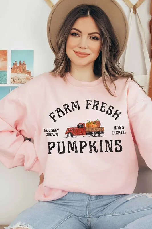 FARM FRESH PUMPKINS GRAPHIC SWEATSHIRT